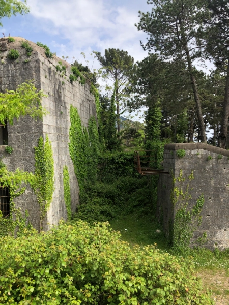 Austro-Hungarian fortress above Kotor surrounded by greenery